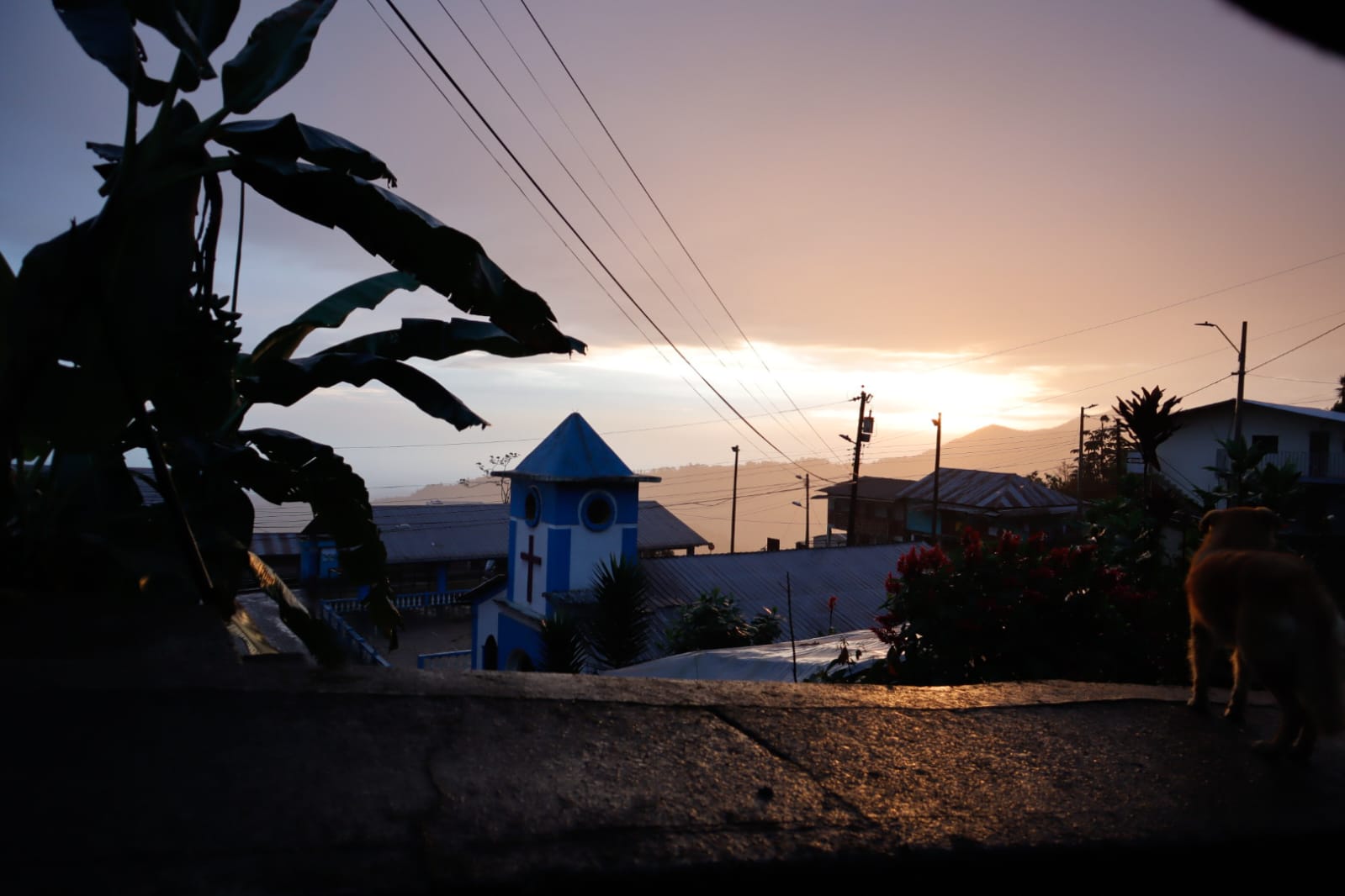 Ramón Campaña al atardecer