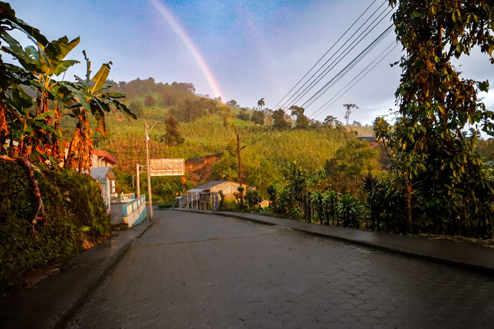 whatsapp image 2026 04 12 at 11.31.32 pm