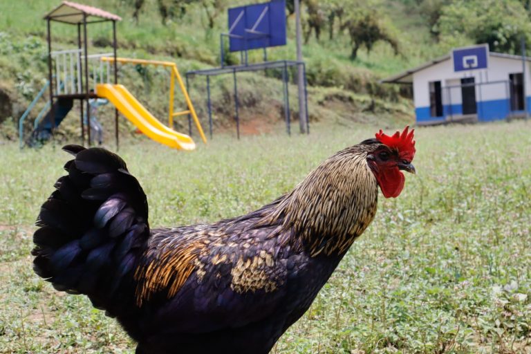 whatsapp image 2026 04 12 at 11.31.35 pm (1)