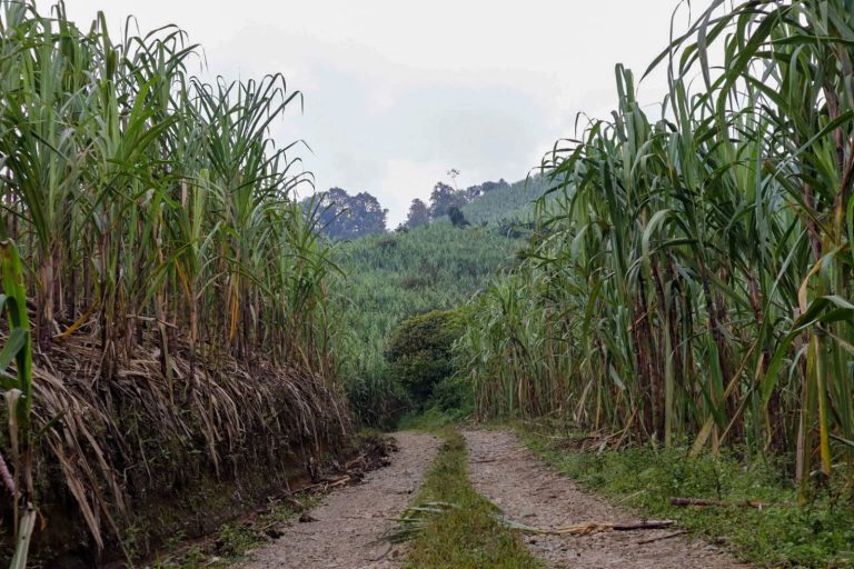 whatsapp image 2026 04 12 at 11.31.36 pm (1)