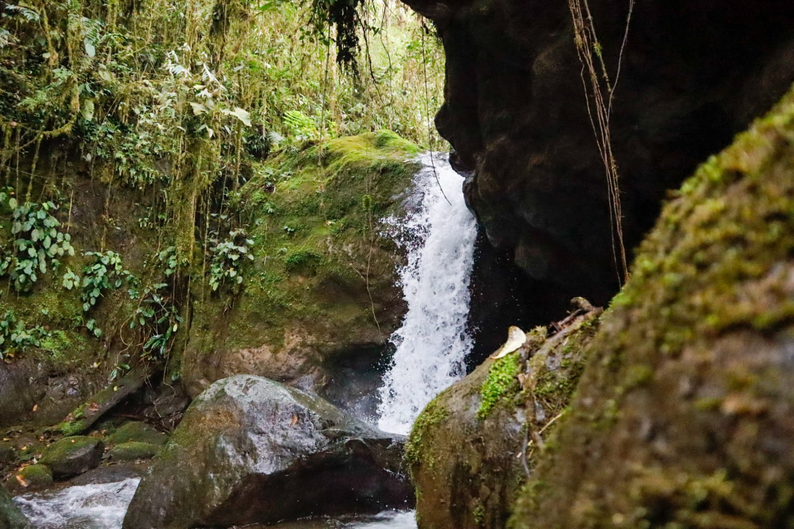 Cascadas de Ramón Campaña