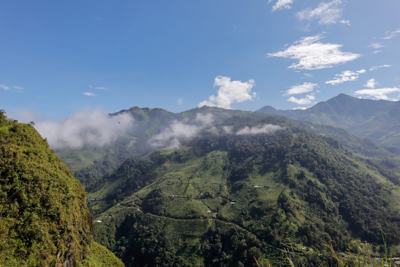 whatsapp image 2026 04 12 at 11.31.38 pm (2)