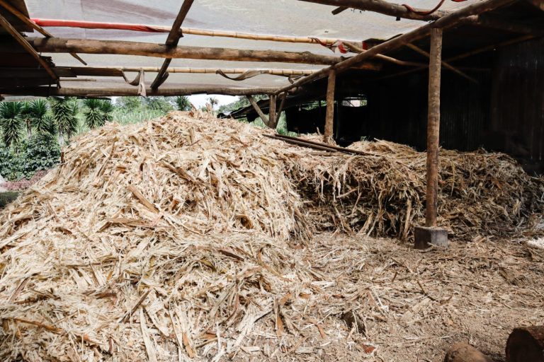 whatsapp image 2026 04 12 at 11.31.39 pm (4)