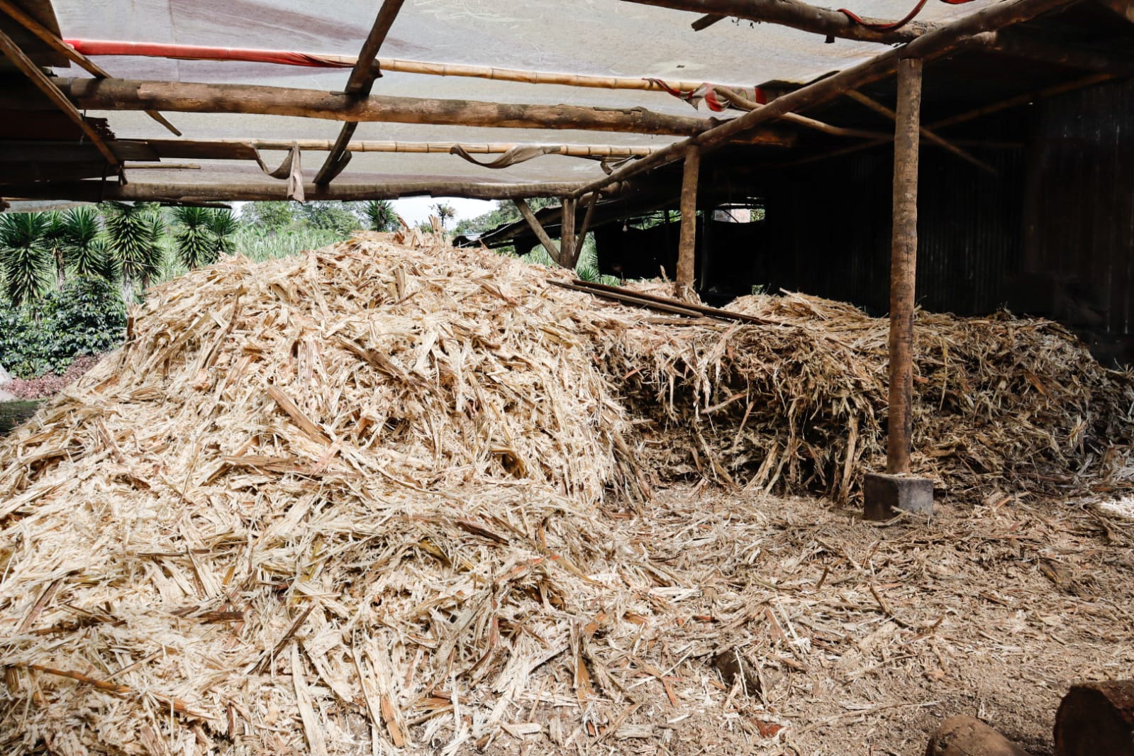 whatsapp image 2026 04 12 at 11.31.39 pm (4)